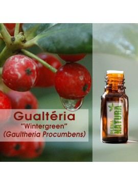 Gualtéria (Wintergreen) - Óleo Essencial